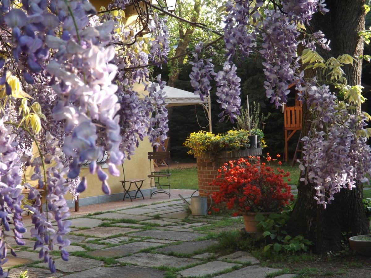Piossasco Villa Mirano Bed & Breakfast מראה חיצוני תמונה