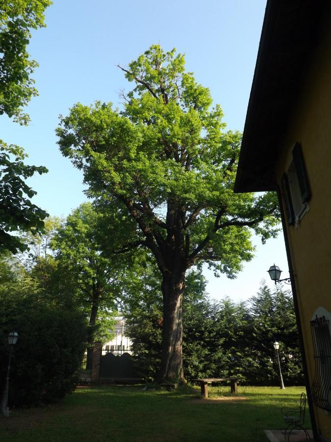 Piossasco Villa Mirano Bed & Breakfast מראה חיצוני תמונה