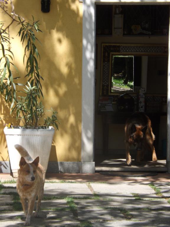 Piossasco Villa Mirano Bed & Breakfast מראה חיצוני תמונה